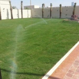 أفضل شركة شبكات ري في الرياض