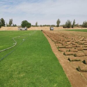 أفضل شركة شبكات ري في الرياض