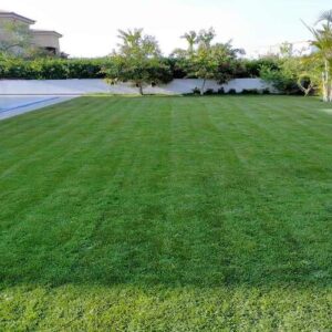 أفضل شركة شبكات ري في الرياض