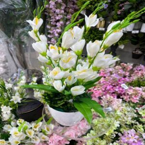 توريد نباتات زينة بالرياض